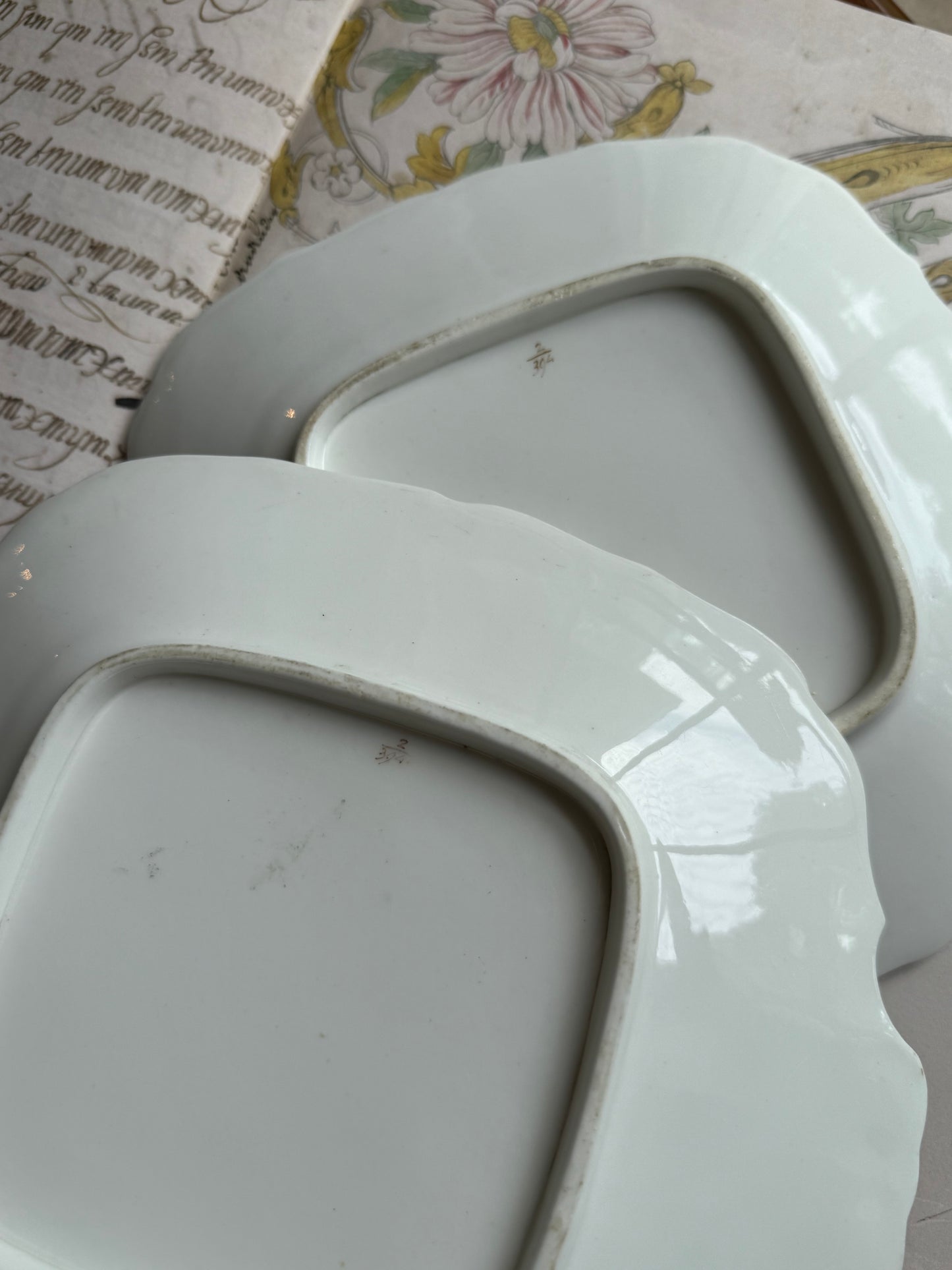 Pair of Antique English Porcelain Plates