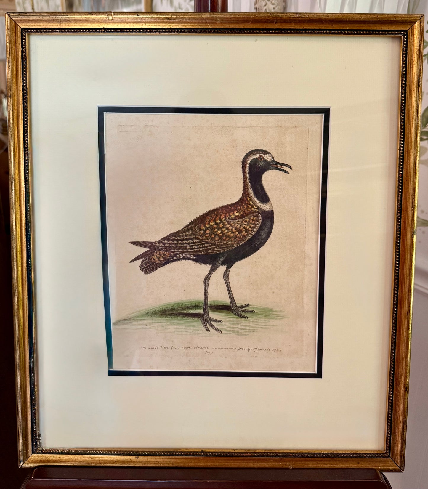 1748 Antique Colored Engraving