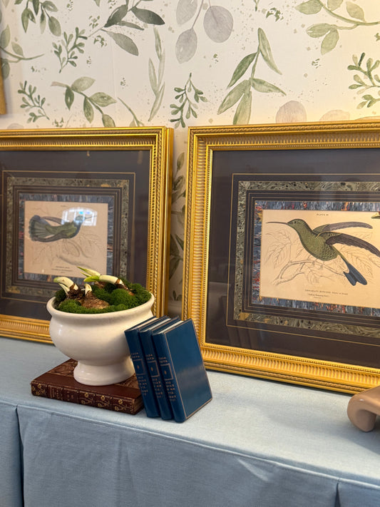 Pair of Framed Hummingbird Book Plate Prints