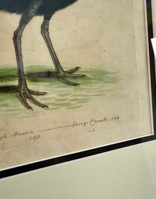 1748 Antique Colored Engraving