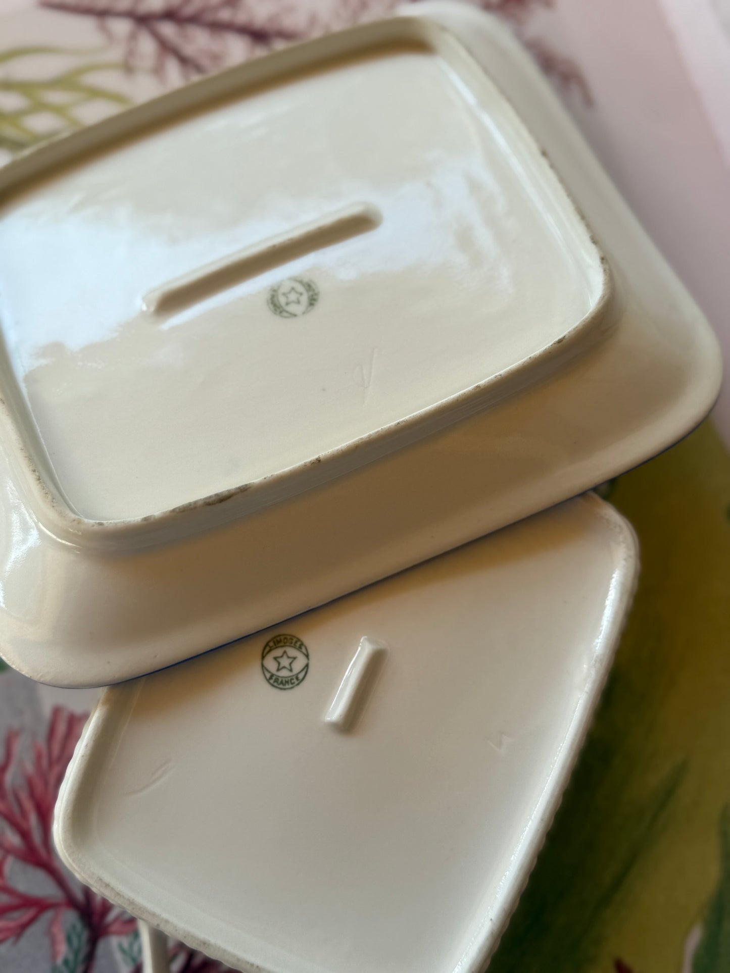 Limoges Porcelain Sardine Box