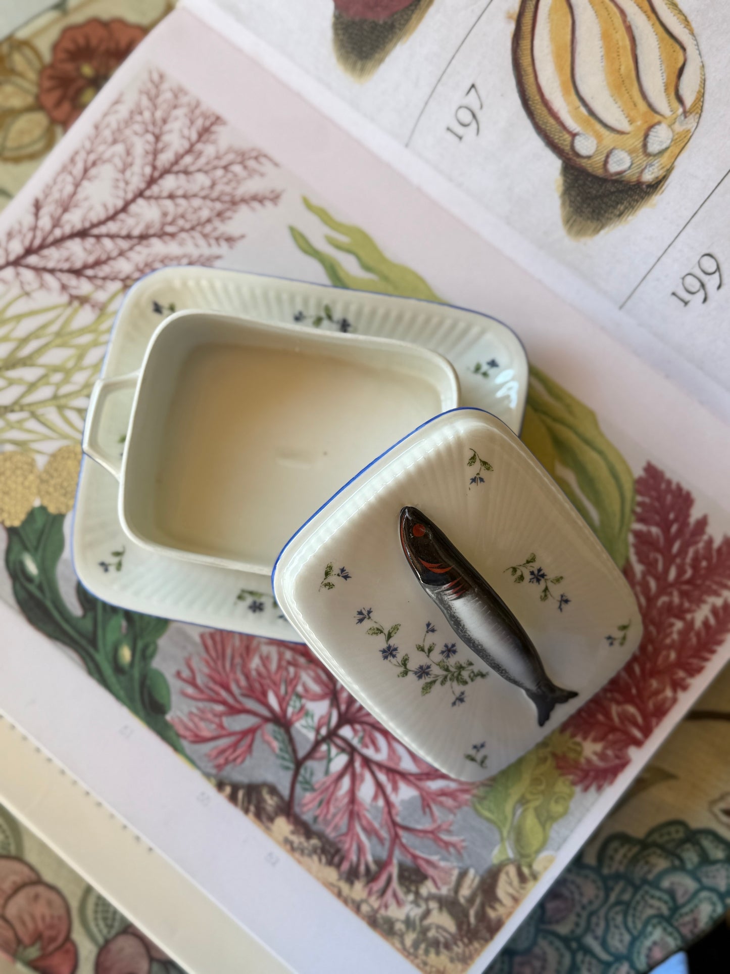 Limoges Porcelain Sardine Box