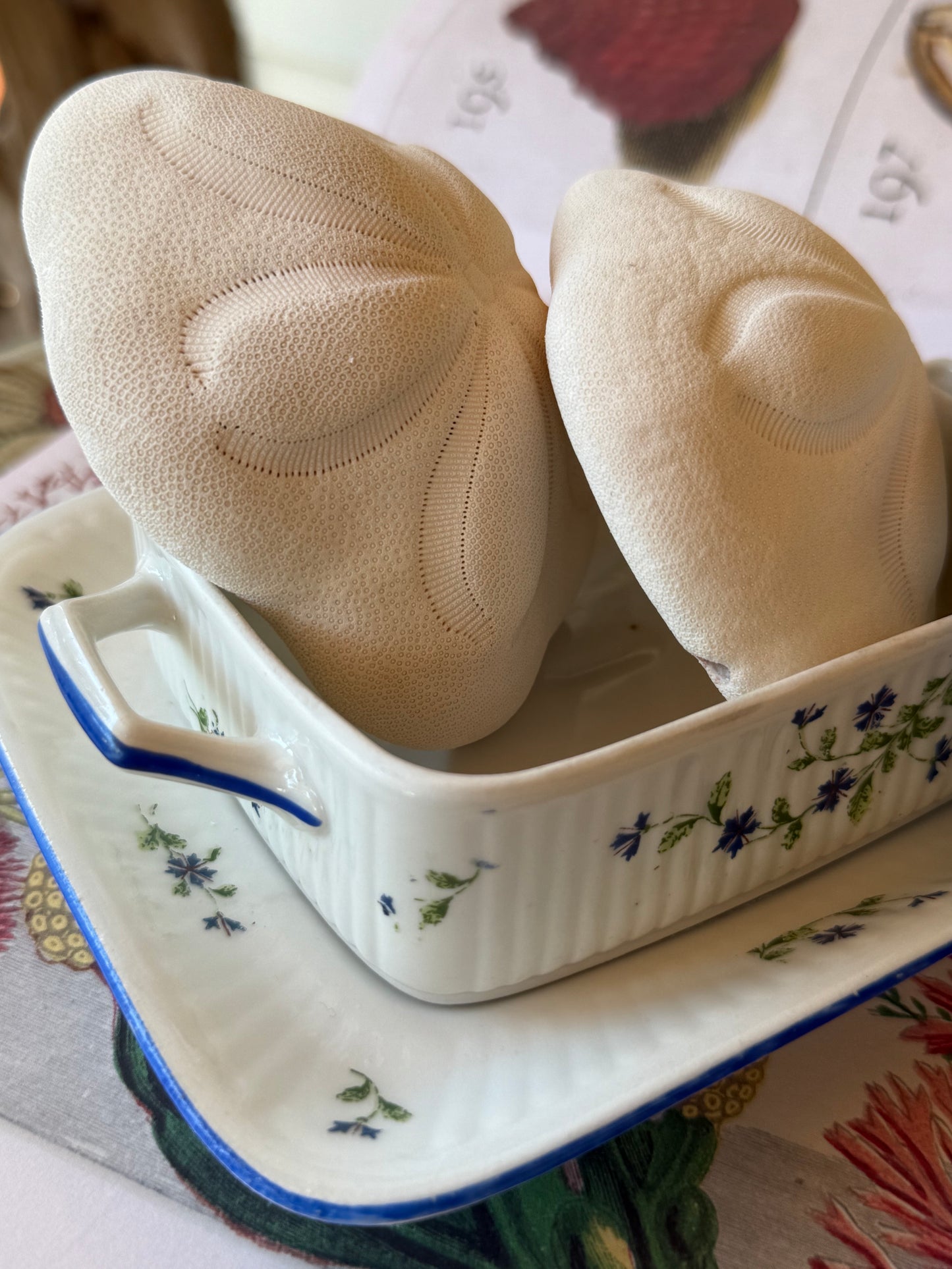 Limoges Porcelain Sardine Box