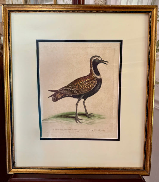 1748 Antique Colored Engraving