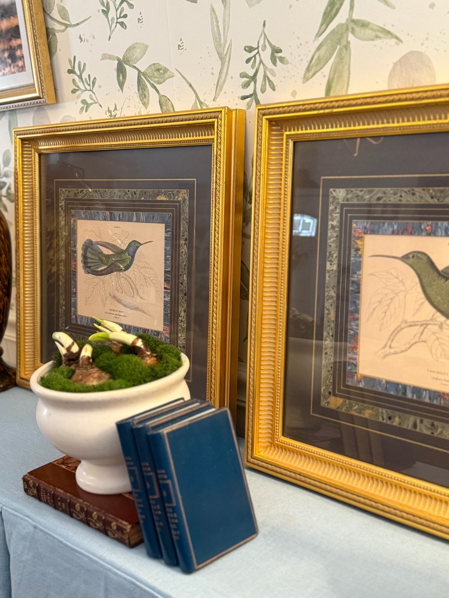 Pair of Framed Hummingbird Book Plate Prints