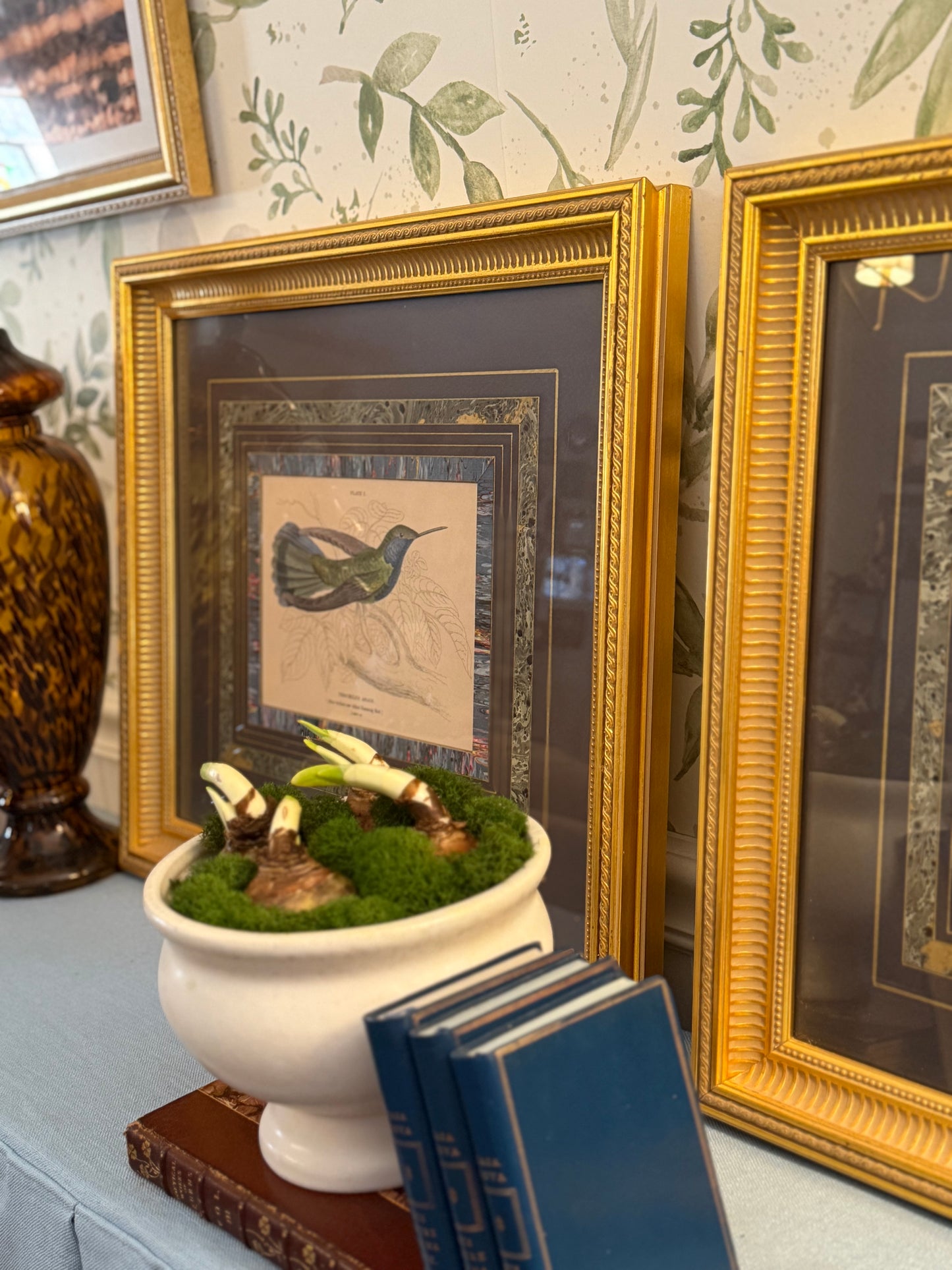 Pair of Framed Hummingbird Book Plate Prints