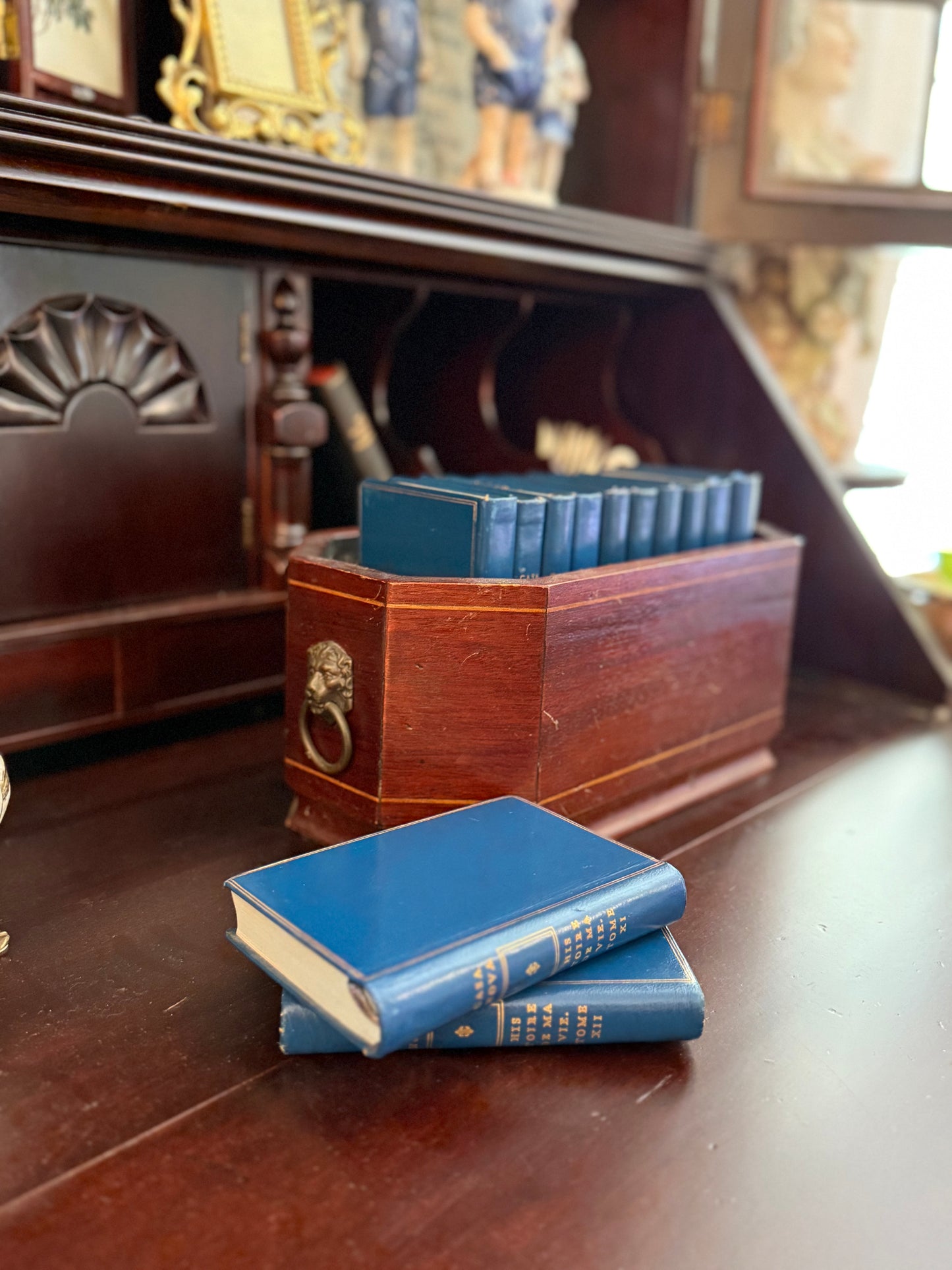 Edwardian Mahogany Jardinière
