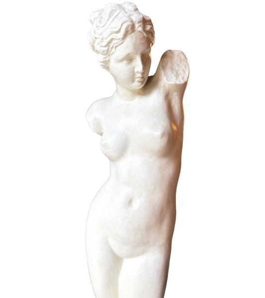 Large Vintage Venus de Milo
