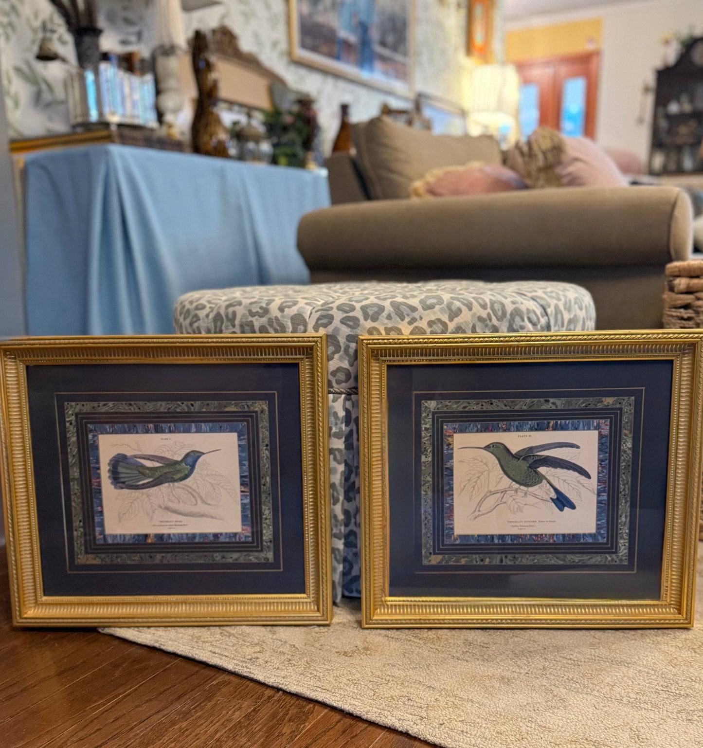Pair of Framed Hummingbird Book Plate Prints